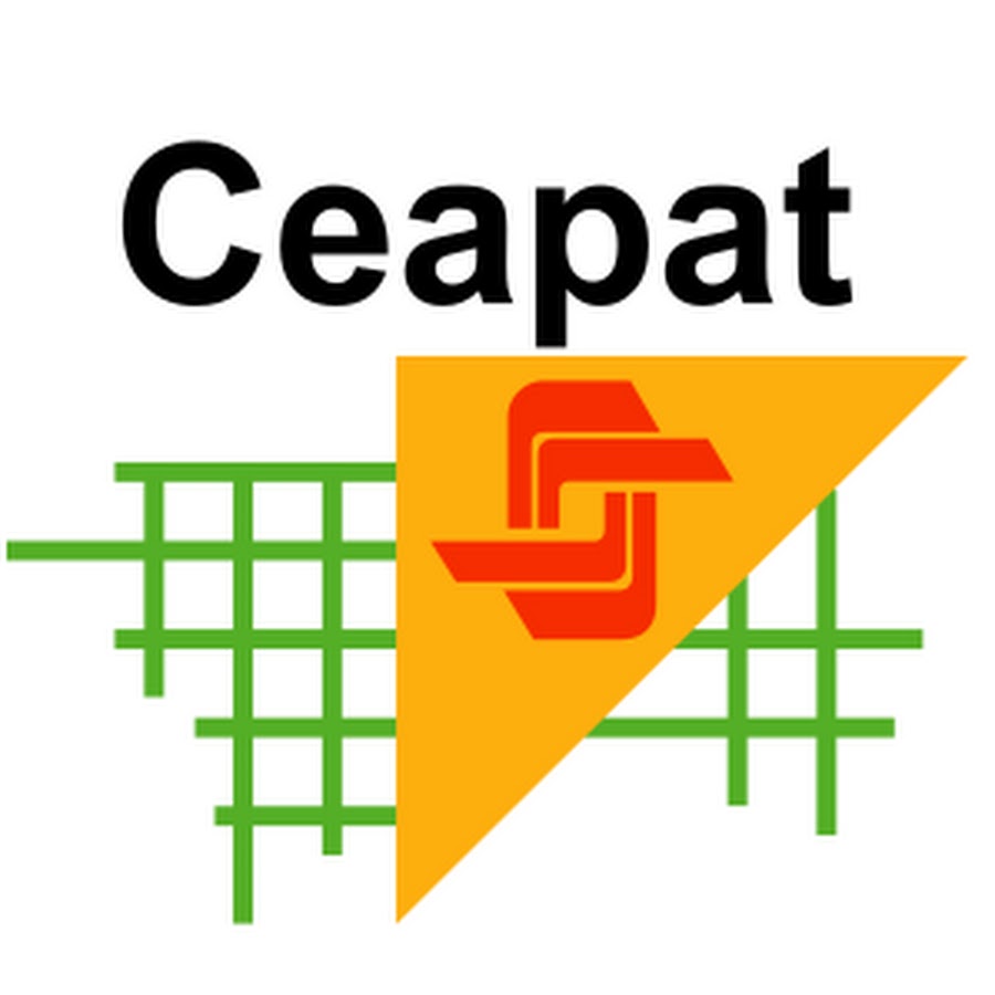 Logo Centro de Referencia Estatal de Autonomía Personal y Ayudas Técnicas – CEAPAT
