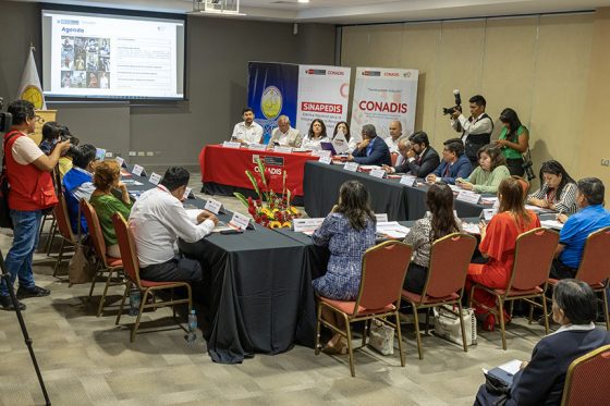 Gerentes de Desarrollo Social de los gobiernos regionales deliberan y presentan sus avances en materia de discapacidad en la primera sesión del periodo 2025 de la mesa del Sinapedis.