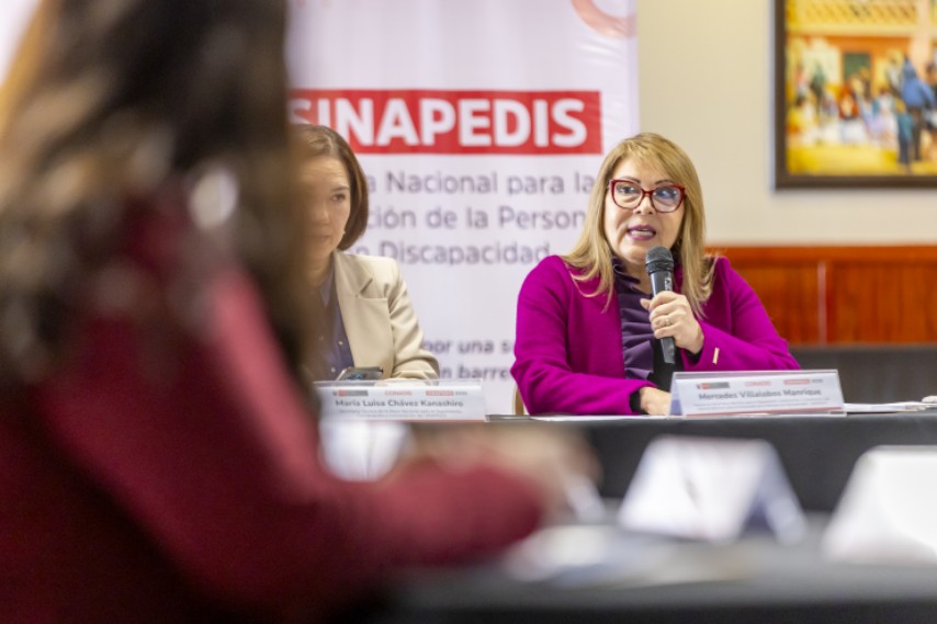 Una mujer habla con un micrófono durante una reunión, mientras otras personas participan en una mesa de trabajo frente a un banner de SINAPEDIS.